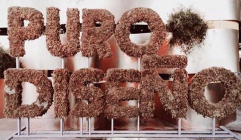 Salta, presente en la feria PuroDiseño 2016