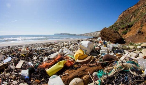 Día Mundial del Medio Ambiente: Sin contaminación por plástico