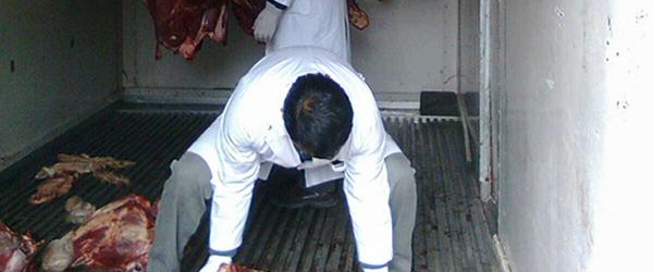 Secuestran en Rivadavia 70 kilos de carne provenientes del hurto de ganado