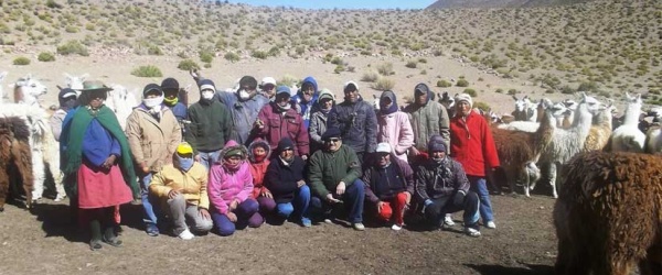 Se afianza en Salta el proyecto de industrialización de la fibra fina de camélidos