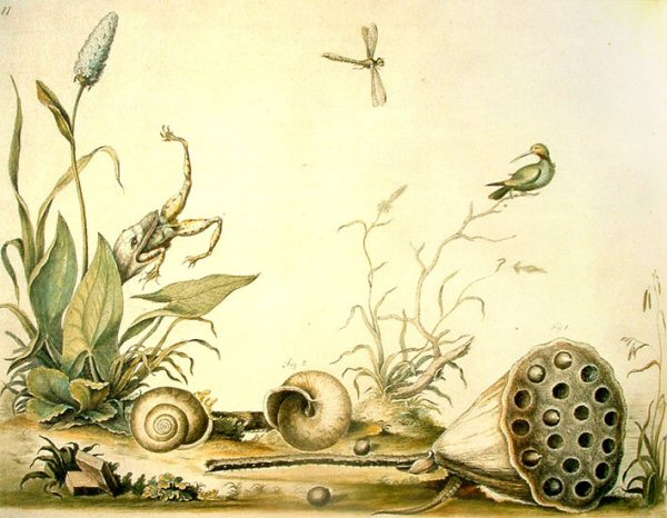 Imagen ilustrativa
