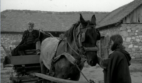 'El caballo de Turín'