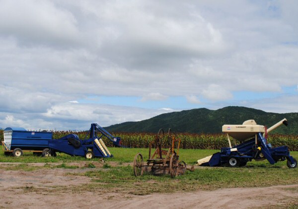 INTA Expone 2012