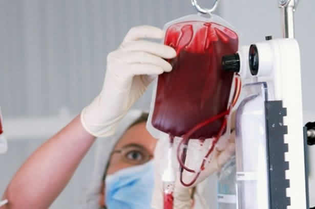 La misma sangre trucha