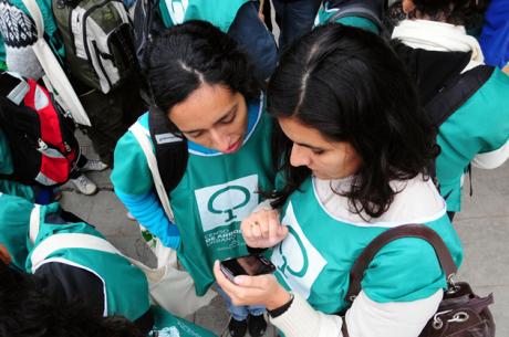 Censistas de árboles