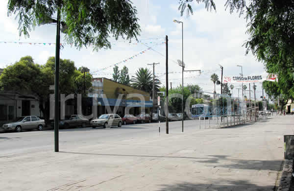 Avenida capitalina de la ciudad