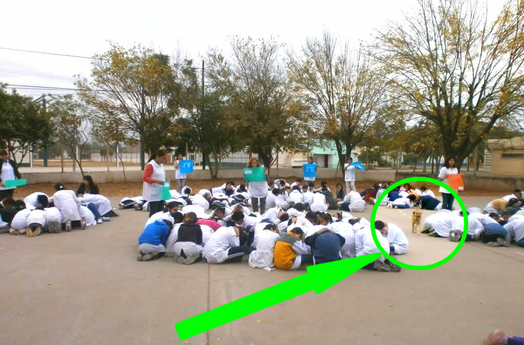 Simulacro con perro incluido